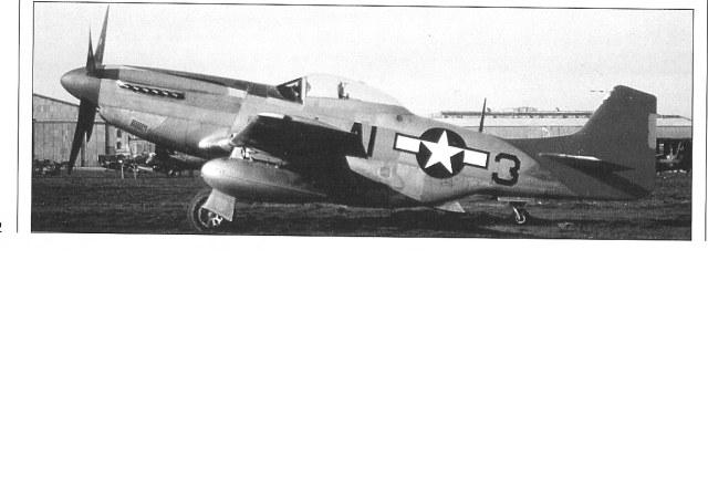 мустанг 2й.jpg